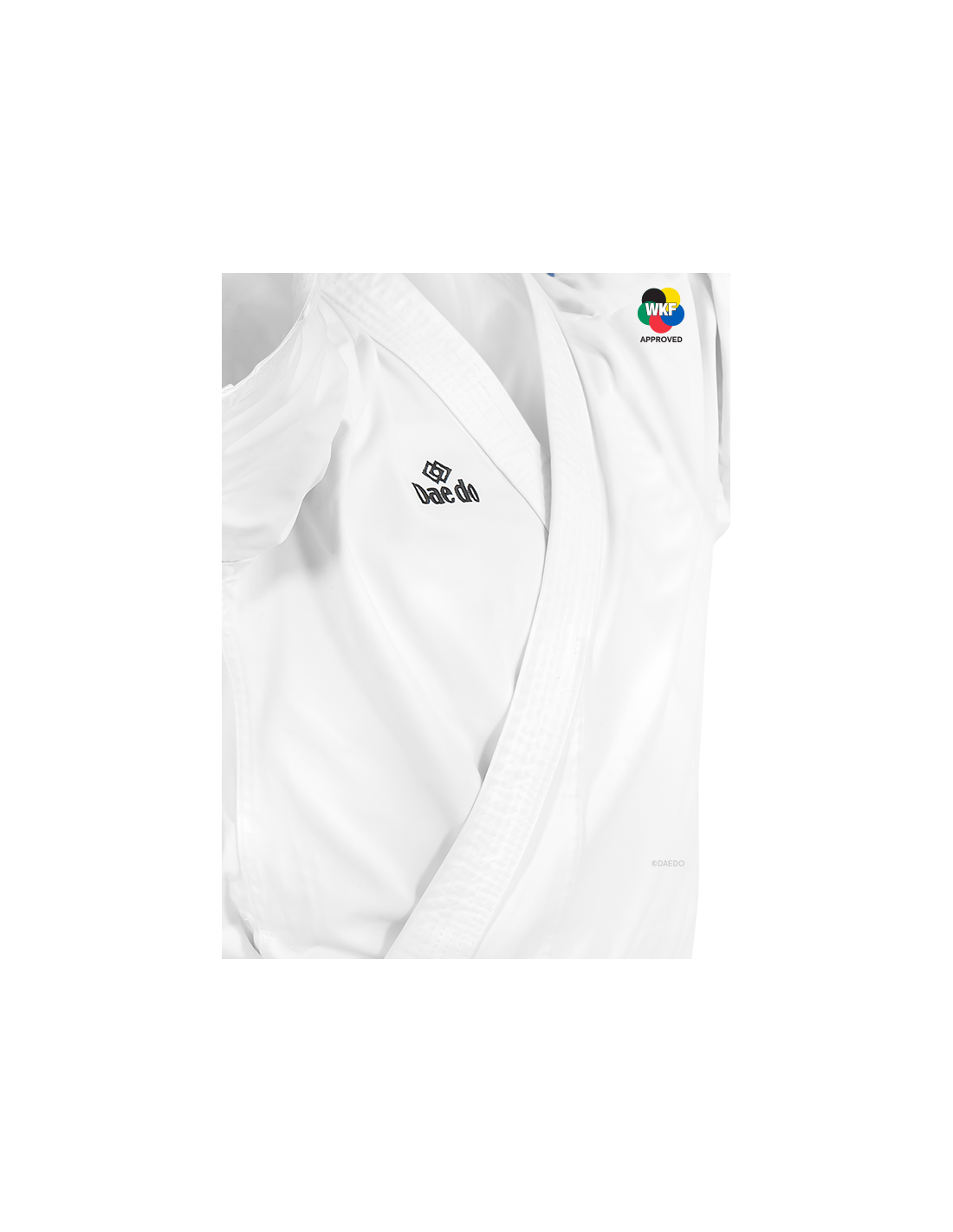 Karategi Daedo ''BUNKAI EUROPE''*++*Karategi 